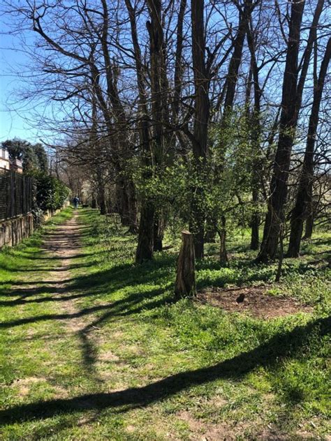 naviga verso piacenza|Parco della Galleana: storia del parco cittadino di Piacenza